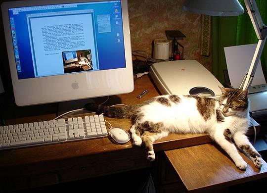 Bureau M.V.